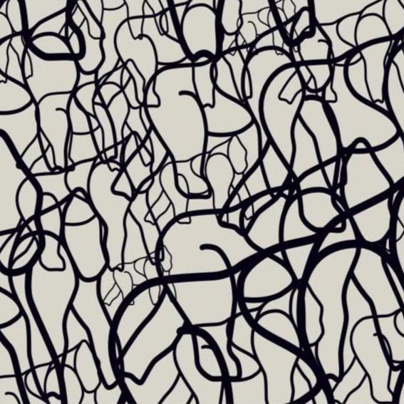 White is Black by Didier Guillon